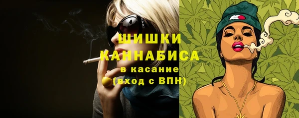 МДПВ Нея