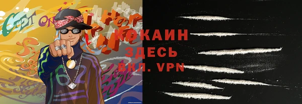 МДПВ Нея