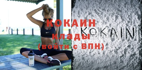 МДПВ Нея