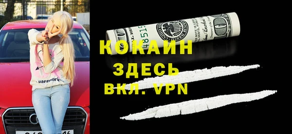 МДПВ Нея