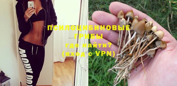 МДПВ Нея