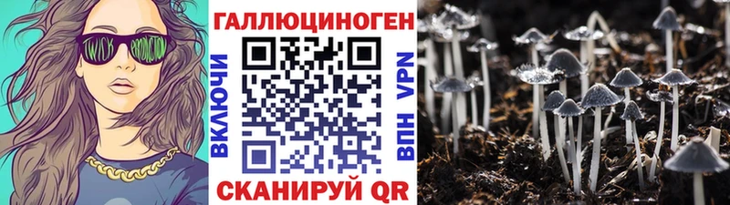 Псилоцибиновые грибы Psilocybine cubensis  Купить  Черепаново 